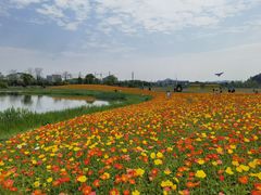 -径山花海