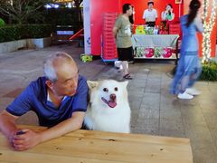 -绿地风尚天地广场