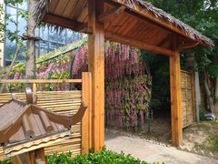 -郑州银基黄帝宫御温泉