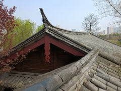 -武汉园博园(武汉自然博物馆)