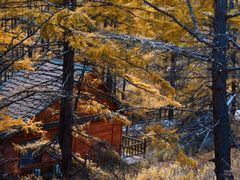 -莫尔道嘎国家森林公园