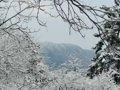 -香山公园