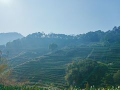 -西湖风景区十里琅珰-五云山