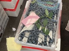 -西郊国际农产品交易中心