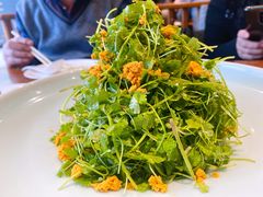 三叶香拌海胆-海铺·渔家虾水饺(皇姑店)