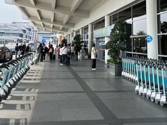 -厦门高崎国际机场-T3航站楼