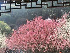 -石湖景区