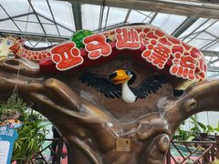 -南宫五洲植物乐园