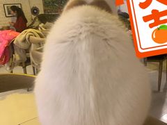 -平行世界·猫咖(首经贸店)