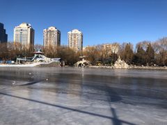 -团结湖公园