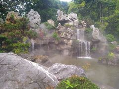 -东莞植物园