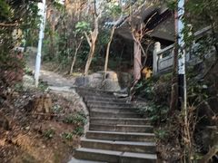 -水濂山森林公园