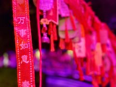 -印象普陀