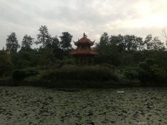 -四川大学(望江校区)