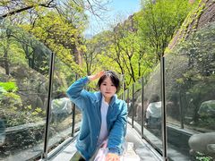 -嵖岈山风景区
