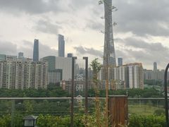 -小茶闲舍·观景商务茶馆(广州塔店)