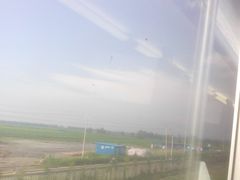-小李子油焖大虾(天下城旗舰店)