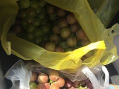 -南汇老顾农家乐采摘大团水蜜桃采摘店