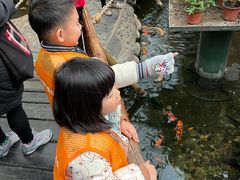-上海大自然野生昆虫馆(东方明珠·爬宠昆虫探索中心)
