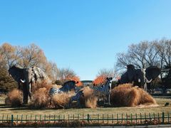 -北京野生动物园