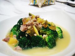 -九鹿台(恒都广场店)