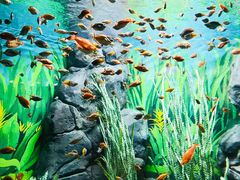 -上海海洋水族馆