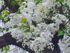 -长椿街(地铁站)