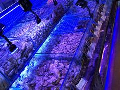水产区-渔民船说·北塘海鲜·天津菜·海肠捞饭(北塘古镇店)