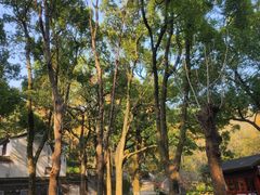 -宁波市保国寺古建筑博物馆