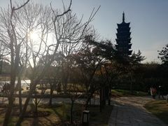 -上海方塔园