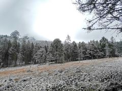 -硗碛藏寨·神木垒景区