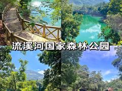 -广州市石门国家森林公园