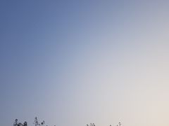 -万达广场(龙湖店)