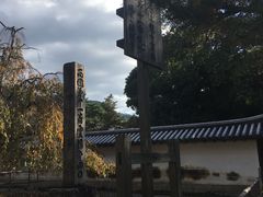-醍醐寺