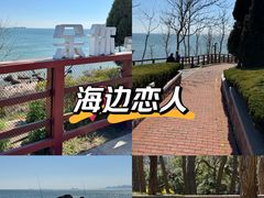 -青岛海滨风景区