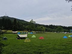 -武陵山森林公园