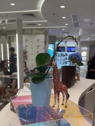 -MMby HairCode 芭曲发型概念店