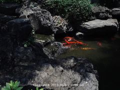 -新荣记(西溪湿地店)