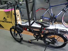 -道路口单车爱瓦士dahon大行