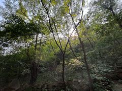 -云峰山自然风景区