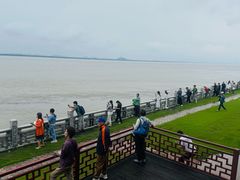 -观潮胜地公园