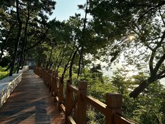 -养马岛旅游度假区