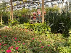 -南宫五洲植物乐园