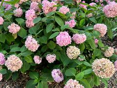 -嘉善路(地铁站)