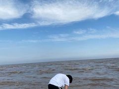 -奉贤海滩
