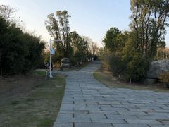 -瑶湖郊野森林公园