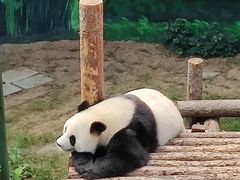 -大连森林动物园