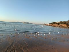 -青岛第三海水浴场