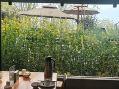 -黄山老妈·土菜(碧桂园店)