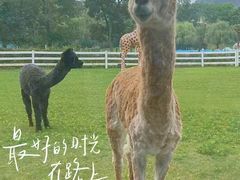 -南京汤山紫清湖生态旅游温泉度假区